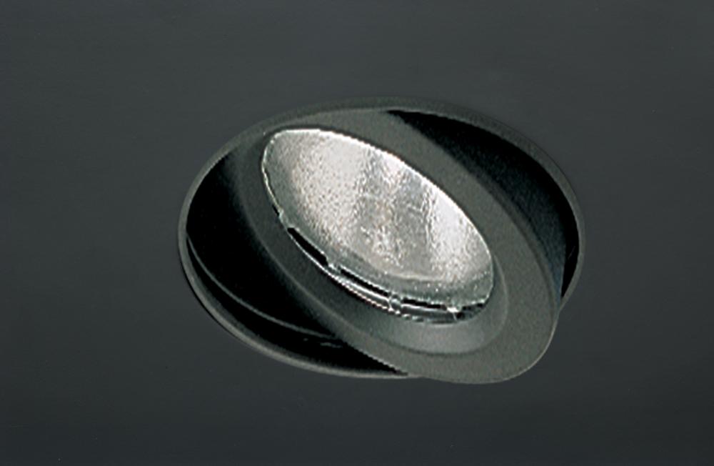 NMR 2L PAR30 GIMBAL SILVER/SIL