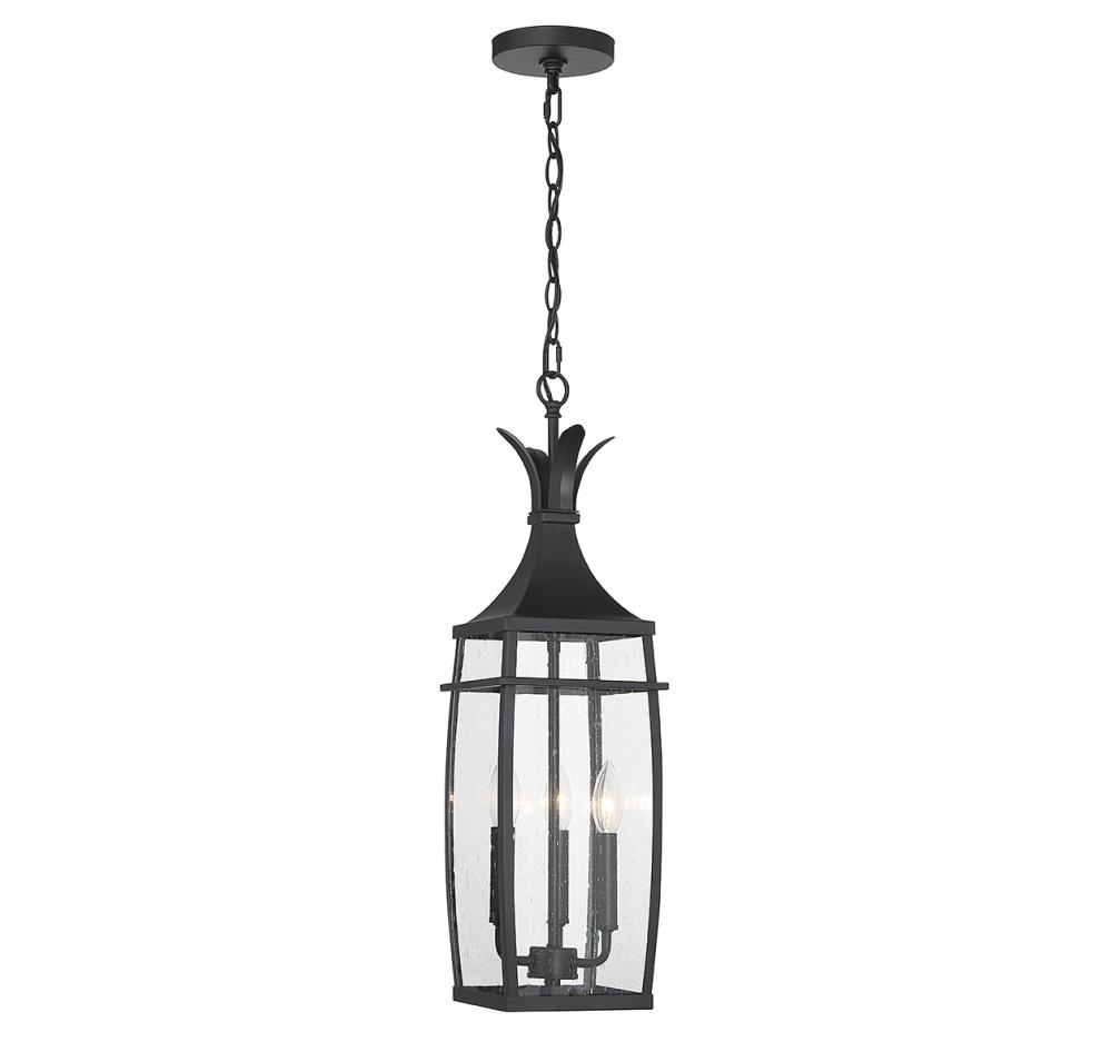 Montpelier 3-Light Outdoor Hanging Lantern in Matte Black