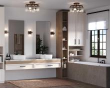 PROG_Chevall_Bathroom_Modern_P350268-204_P710125-204_3D_appshot.jpg