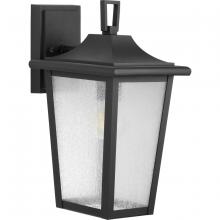 Progress P560308-031 - Padgett Collection One-Light Transitional Textured Black Clear Seeded Glass Outdoor Wall Lantern