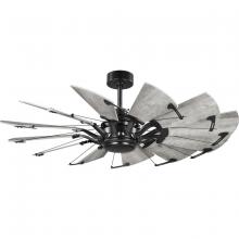 Progress P250065-31M - Springer Collection 52-Inch Matte Black 12-Blade DC Motor Windmill Ceiling Fan