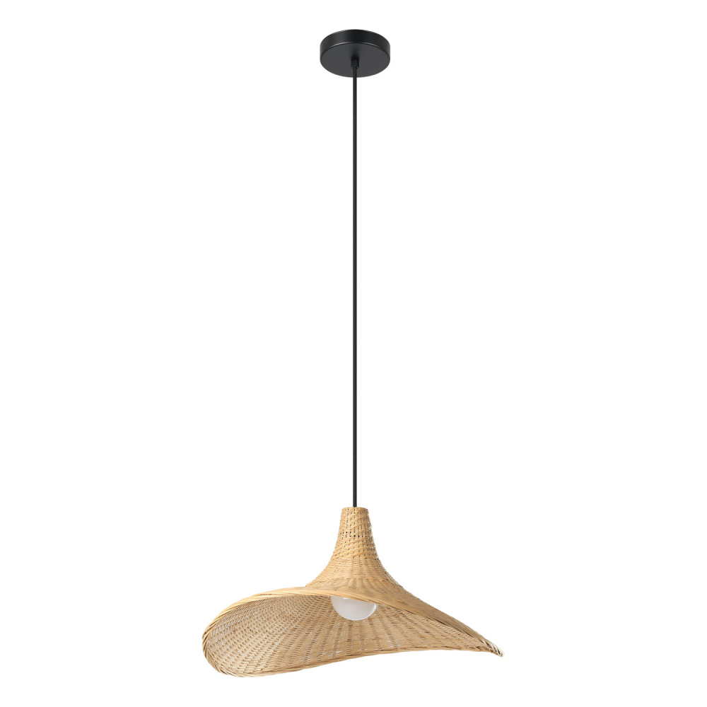 1L Pendant Light