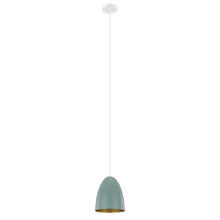 Eglo 204083A - 1L Pendant Light