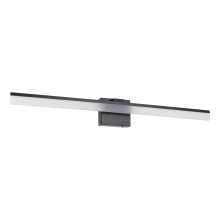 Eglo 206028A - LED Vanity Light