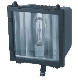 FLOOD DC555 GLASS 100MH MTAP BZ