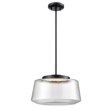 DVI DVP43920EB-HMC - LUNENBERG 14" LED PENDANT