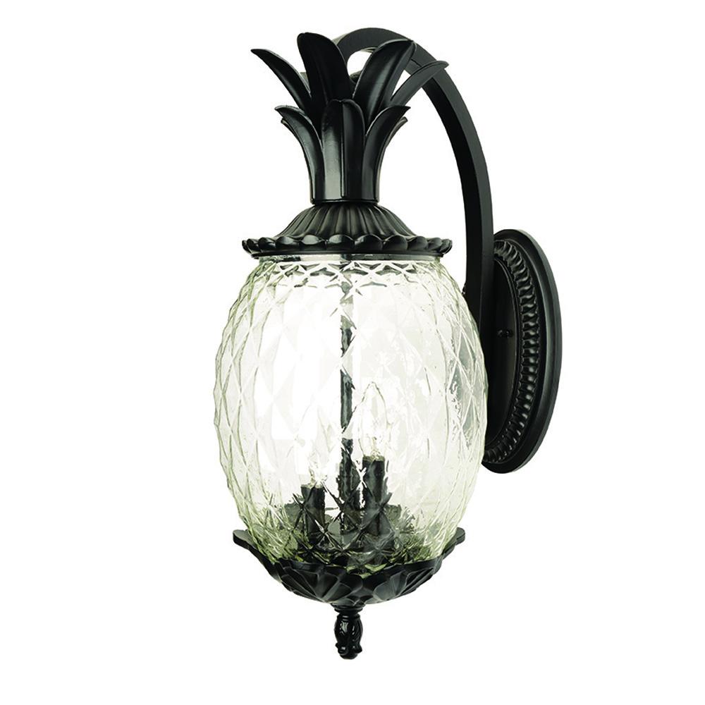 Lanai Collection Wall-Mount 3-Light Outdoor Matte Black Light Fixture