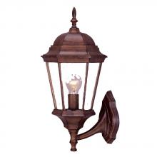 Acclaim Lighting 5250BW - Richmond Collection Wall-Mount 1-Light Outdoor Burled Walnut Light Fixture