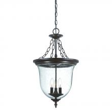 Acclaim Lighting 9316ABZ - Belle Collection Hanging Lantern 3-Light Outdoor Architectural Bronze Light Fixture