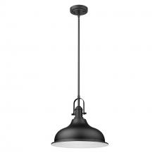 Acclaim Lighting IN21148BK - Virginia 1-Light Matte Black Pendant With Metal Shade