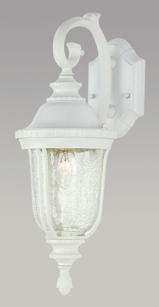 Chessie 20-In. 1-Light Crackle Glass Coach Style Wall Lantern