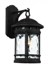 Trans Globe 40371 RT - Boardwalk Collection 1-Light, Hook Hanging Wall Lantern with Water Glass