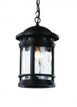 Trans Globe 40375 BK - Boardwalk Collection 1-Light, Outdoor Hanging Lantern Pendant with Water Glass