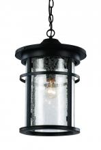 Trans Globe 40385 BK - Avalon Crackled Glass Outdoor Hanging Pendant Light with Open Base