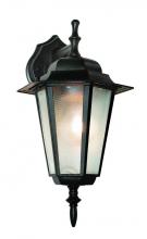 Trans Globe 4056 BK - Alexander Outdoor 1-Light Frosted Glass and Metal Coach Wall Lantern