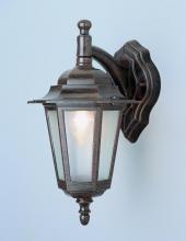 Trans Globe 4056 BC - Alexander Outdoor 1-Light Frosted Glass and Metal Coach Wall Lantern