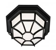 Trans Globe 40581 BK - Benkert 1-Light, Weblike Design, Enclosed Flush Mount Ceiling Lantern Light