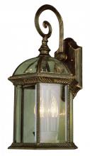 Trans Globe 44181 BK - Wentworth Atrium Style, Armed Outdoor Wall Lantern Light, with Open Base