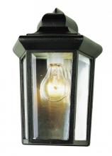 Trans Globe 4483 BK - Rendell 12-In. 1-Light, Beveled Glass Outdoor Pocket Wall Lantern