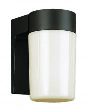Trans Globe 4810 BK - Pershing 1-Light Cylindrical Shade Outdoor Wall Light