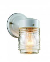 Trans Globe 4900 WH - Quinn 1-Light Classic Glass Jar Shade Outdoor Wall Light