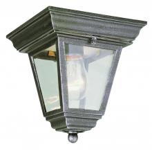 Trans Globe 4903 WH - Robertson 1-Light Square, Glass and Metal, Outdoor Flush Mount Ceiling Lantern