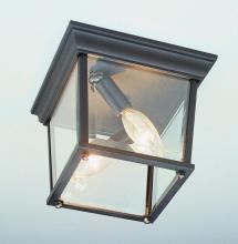 Trans Globe 4905 BC - Ansel Collection Square 2-Light Simple Outdoor Flush Mount Ceiling Lantern Light