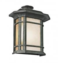 Trans Globe 5821-1 RT - San Miguel, Tea Stain Glass, Outdoor Pocket Lantern Wall Light