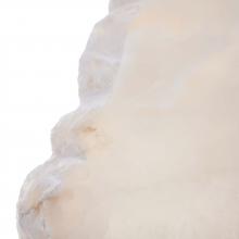 ASC03.d6_01.jpg
