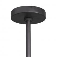 DPC13.d7.jpg