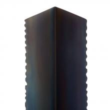 DWI21.d7.jpg
