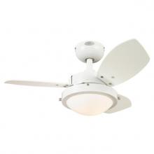 Ceiling Fans