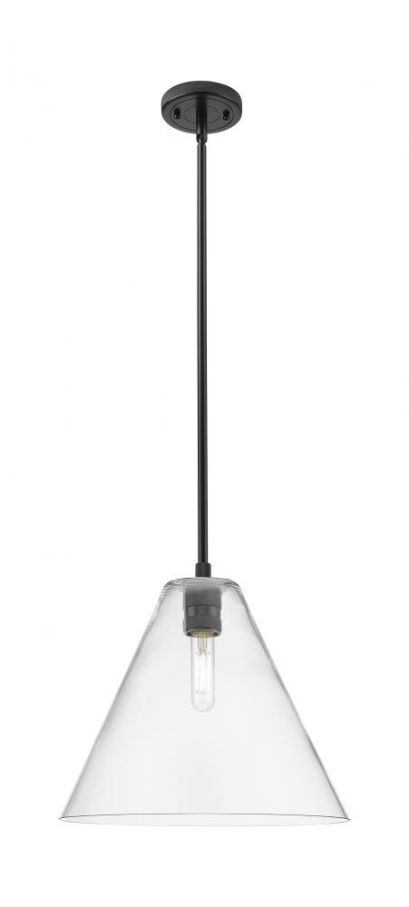 Crown Point - 1 Light - 12 inch - Matte Black - Pendant