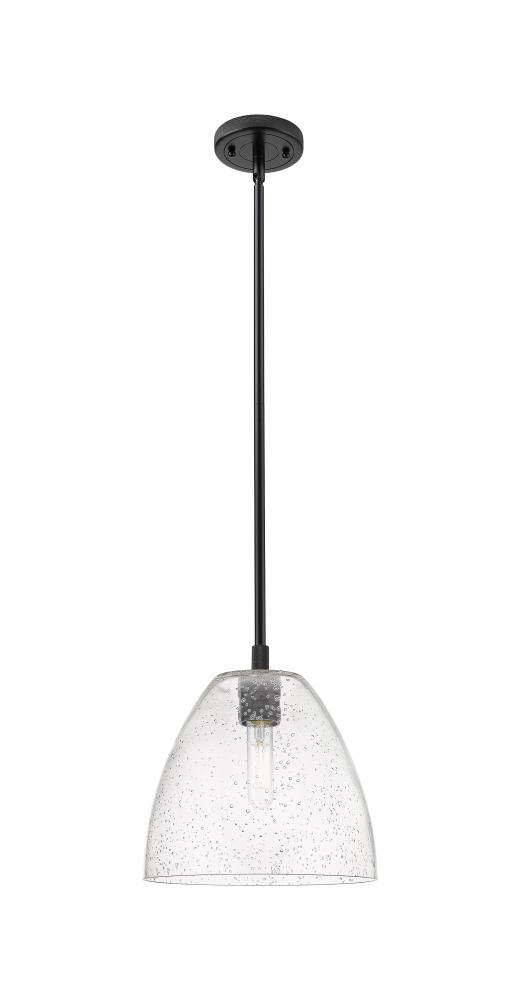 Crown Point - 1 Light - 9 inch - Matte Black - Pendant