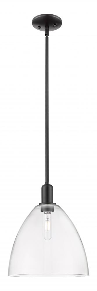 Bristol - 1 Light - 12 inch - Matte Black - Stem hung - Mini Pendant