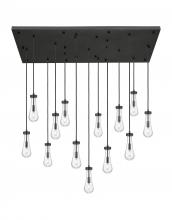 Innovations Lighting 154BK-451-1P-BK-G451-4CL - Owego - 13 Light - 54 inch - Matte Black - Multi Pendant
