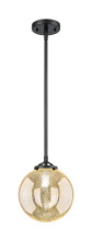 Innovations Lighting 284-1S-OB-G208-8 - Beacon - 1 Light - 8 inch - Oil Rubbed Bronze - Stem hung - Mini Pendant