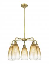 Innovations Lighting 516-5CR-BB-G480-6AM - Brookhaven Almond - 5 Light - 25 inch - Brushed Brass - Stem hung - Chandelier