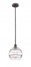 Innovations Lighting 616-1S-OB-G556-10CL - Rochester - 1 Light - 10 inch - Oil Rubbed Bronze - Stem hung - Mini Pendant