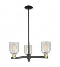 Innovations Lighting 716-3CR-BAB-G2511 - Caledonia - 3 Light - 27 inch - Black Antique Brass - Stem hung - Pendant