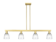 Innovations Lighting 716-4I-SG-G442 - Brookfield - 4 Light - 49 inch - Satin Gold - Stem hung - Island Light
