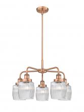 Innovations Lighting 916-5CR-AC-G302 - Colton - 5 Light - 24 inch - Antique Copper - Chandelier