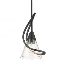 Golden 1648-M1L BLK-CLR - Mini Pendant