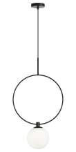 C71311BKOP-DOWN_HR_01.jpg