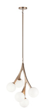 C81505AGOP_C.jpg
