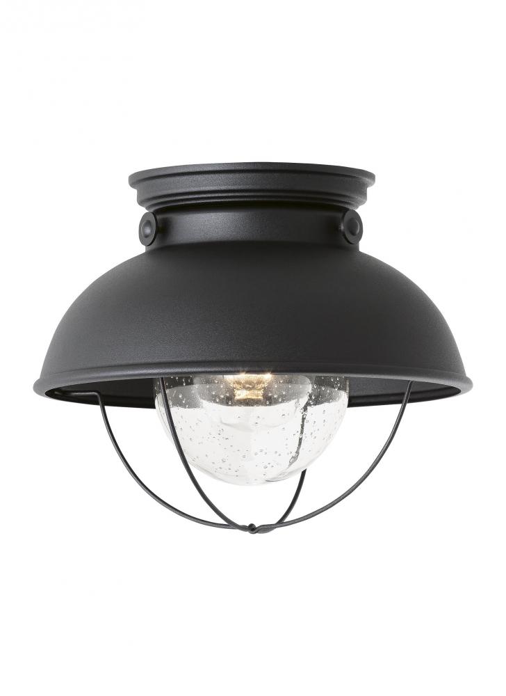 Sebring transitional 1-light LED outdoor exterior ceiling flush mount in black finish with clear see