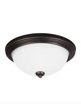 Flush Mounts in Gladstone