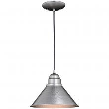 Vaxcel International T0493 - Outland 10-in Outdoor Pendant Light Brushed Pewter