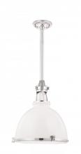 Hudson Valley 4620-WPN - Massena Pendant