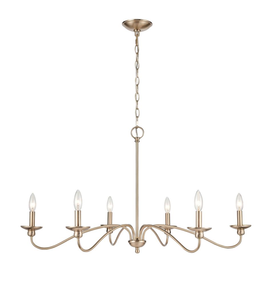 Chandelier Ceiling Light